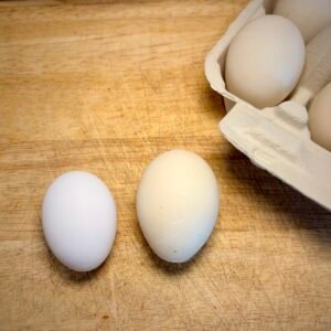 Farm Fresh Duck Eggs (1/2 dozen)