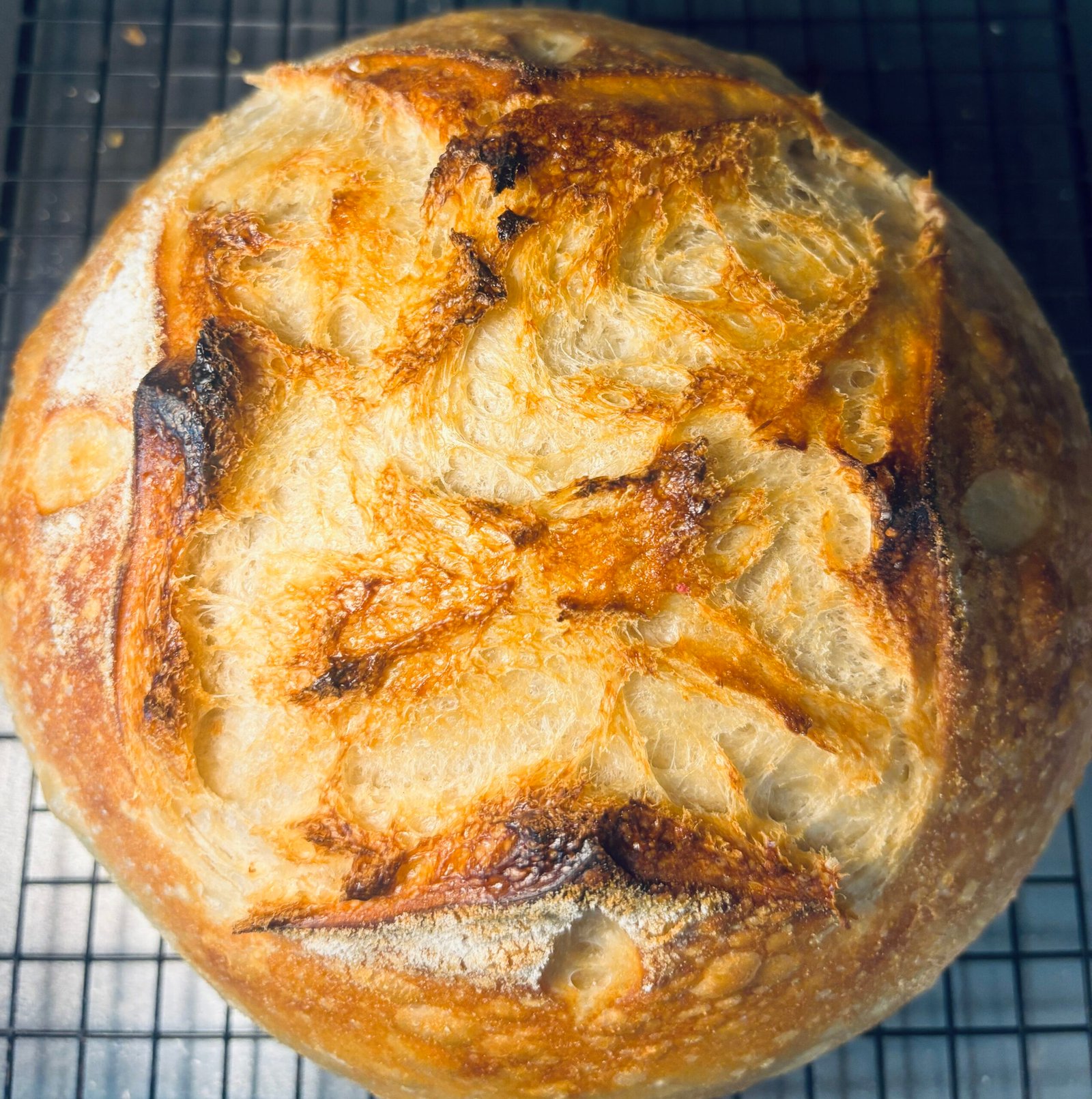 Sourdough Bread