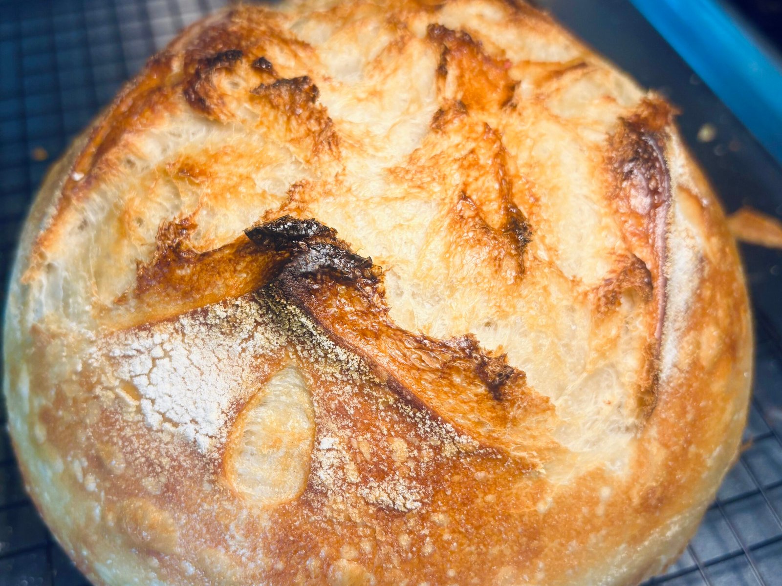 Sourdough Bread - Image 3